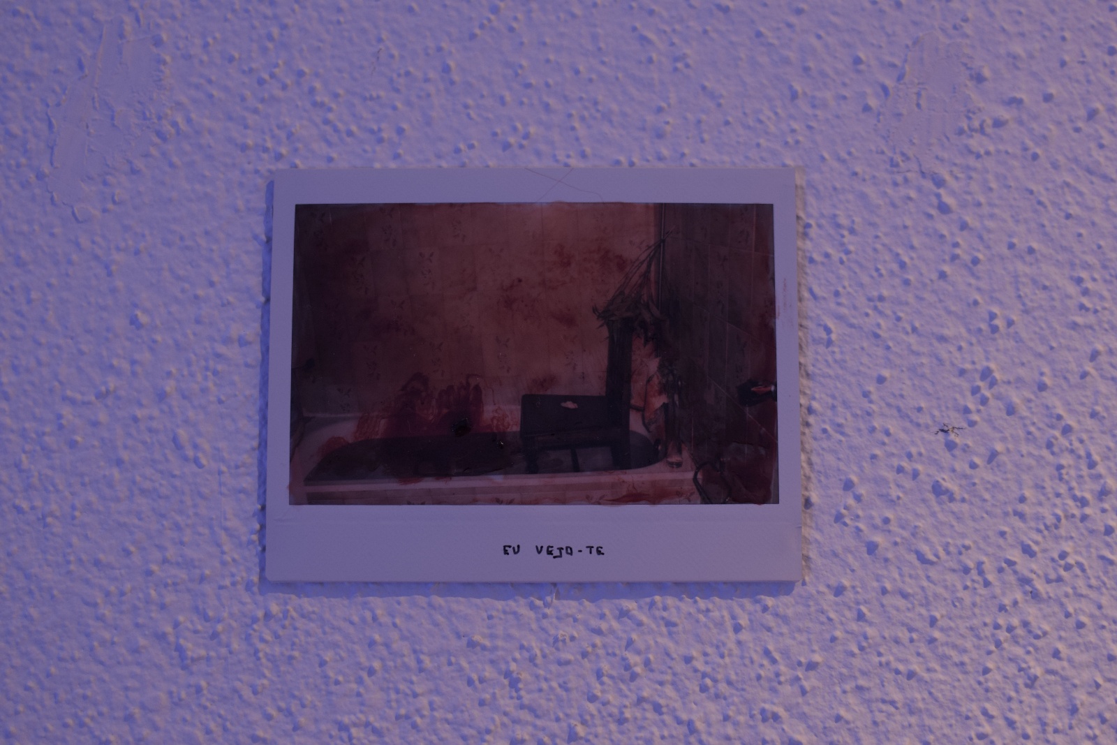  DSC0251