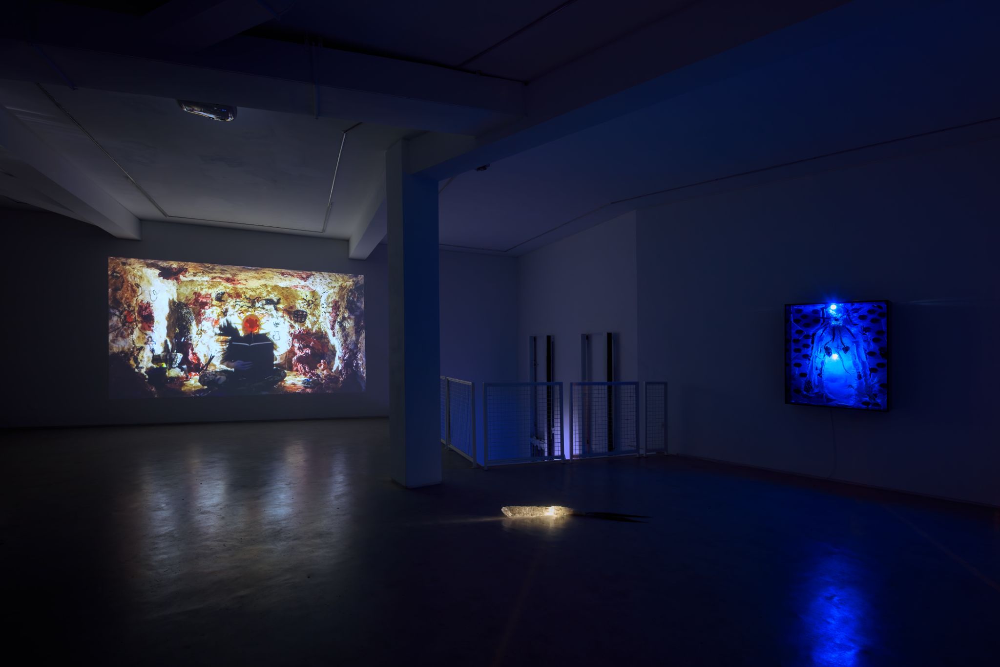 Galeria foco nadia duvall mermaids of a restless sea01