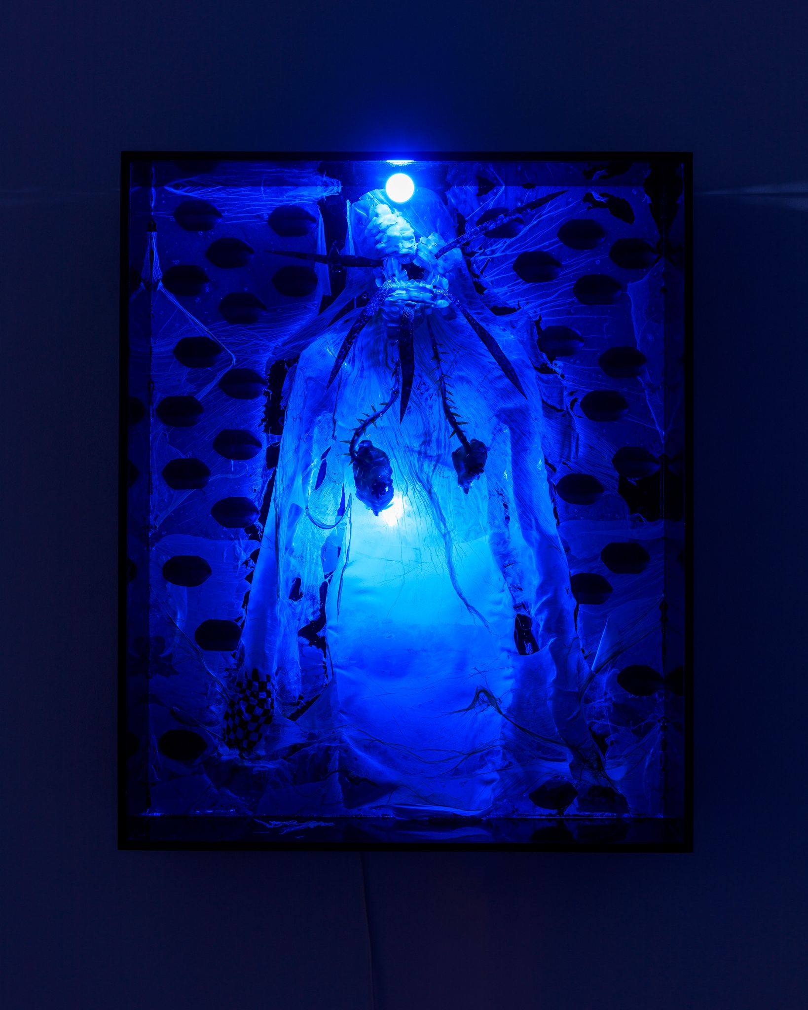 Galeria foco nadia duvall mermaids of a restless sea06