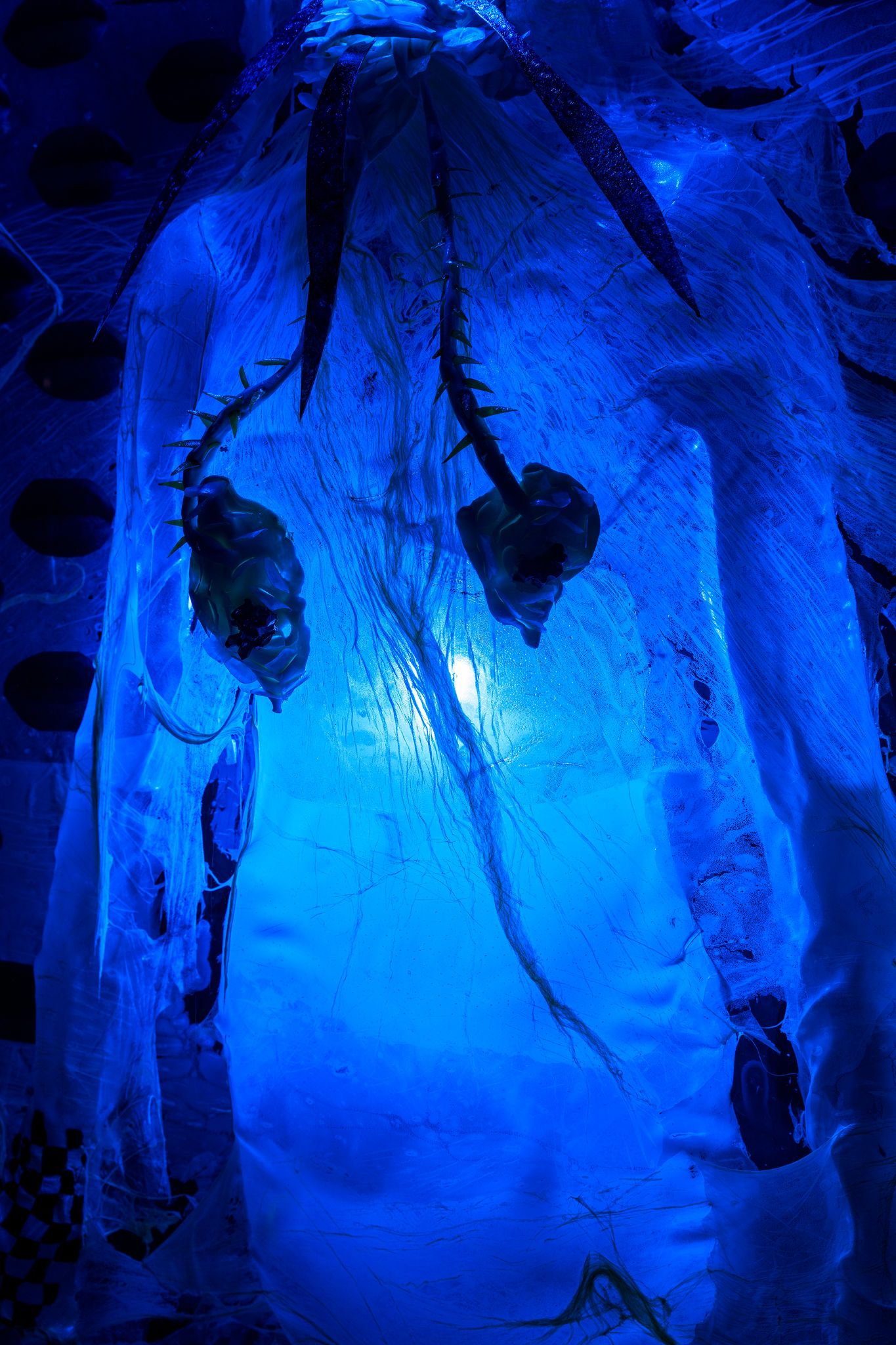 Galeria foco nadia duvall mermaids of a restless sea07