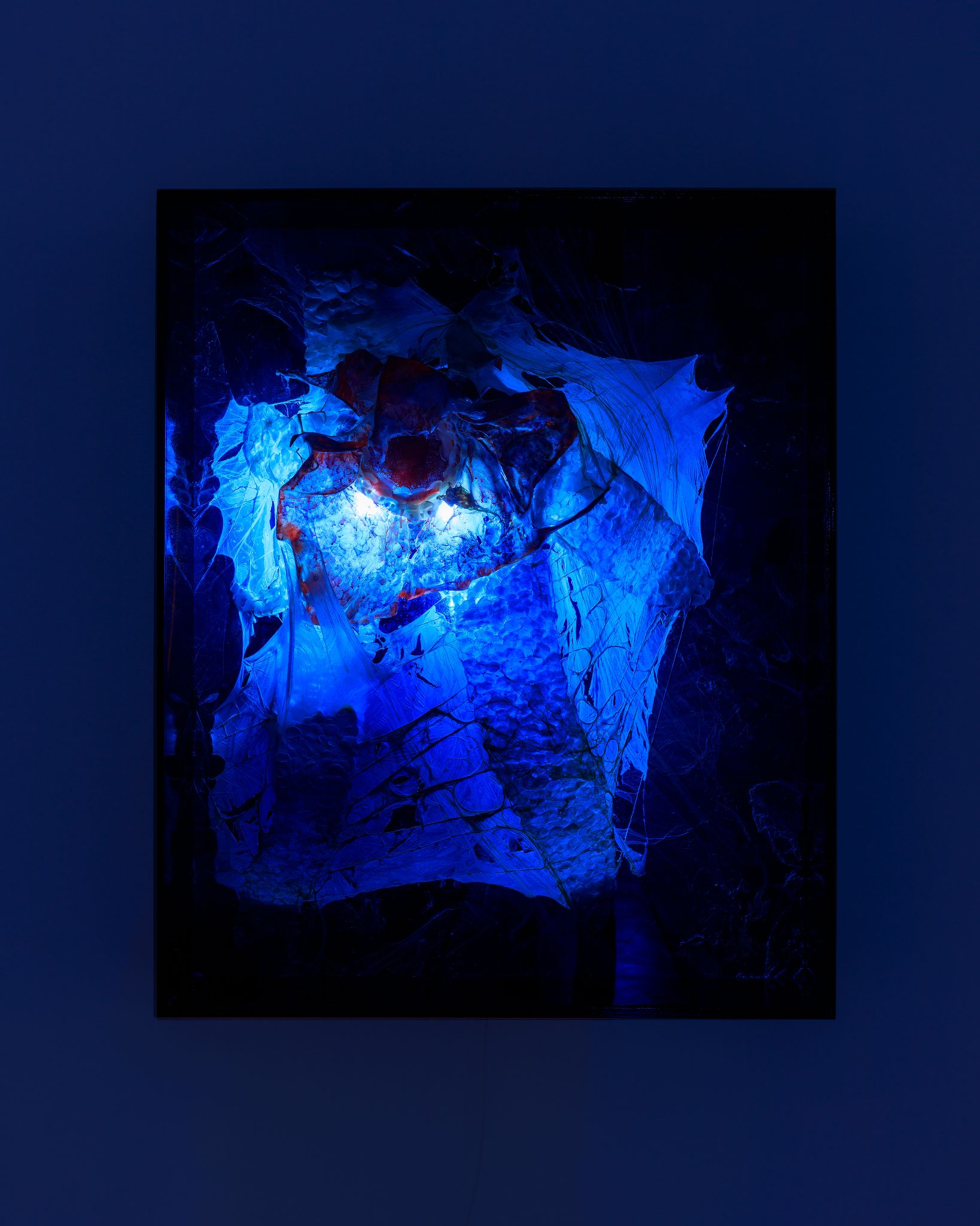 Galeria foco nadia duvall mermaids of a restless sea10