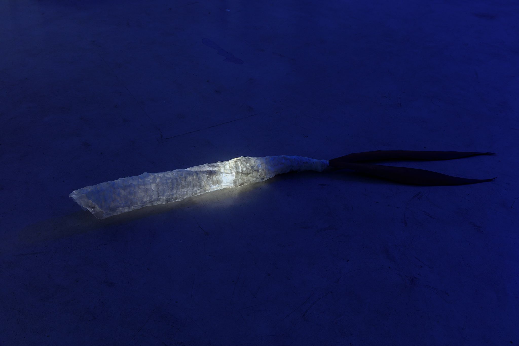 Galeria foco nadia duvall mermaids of a restless sea13
