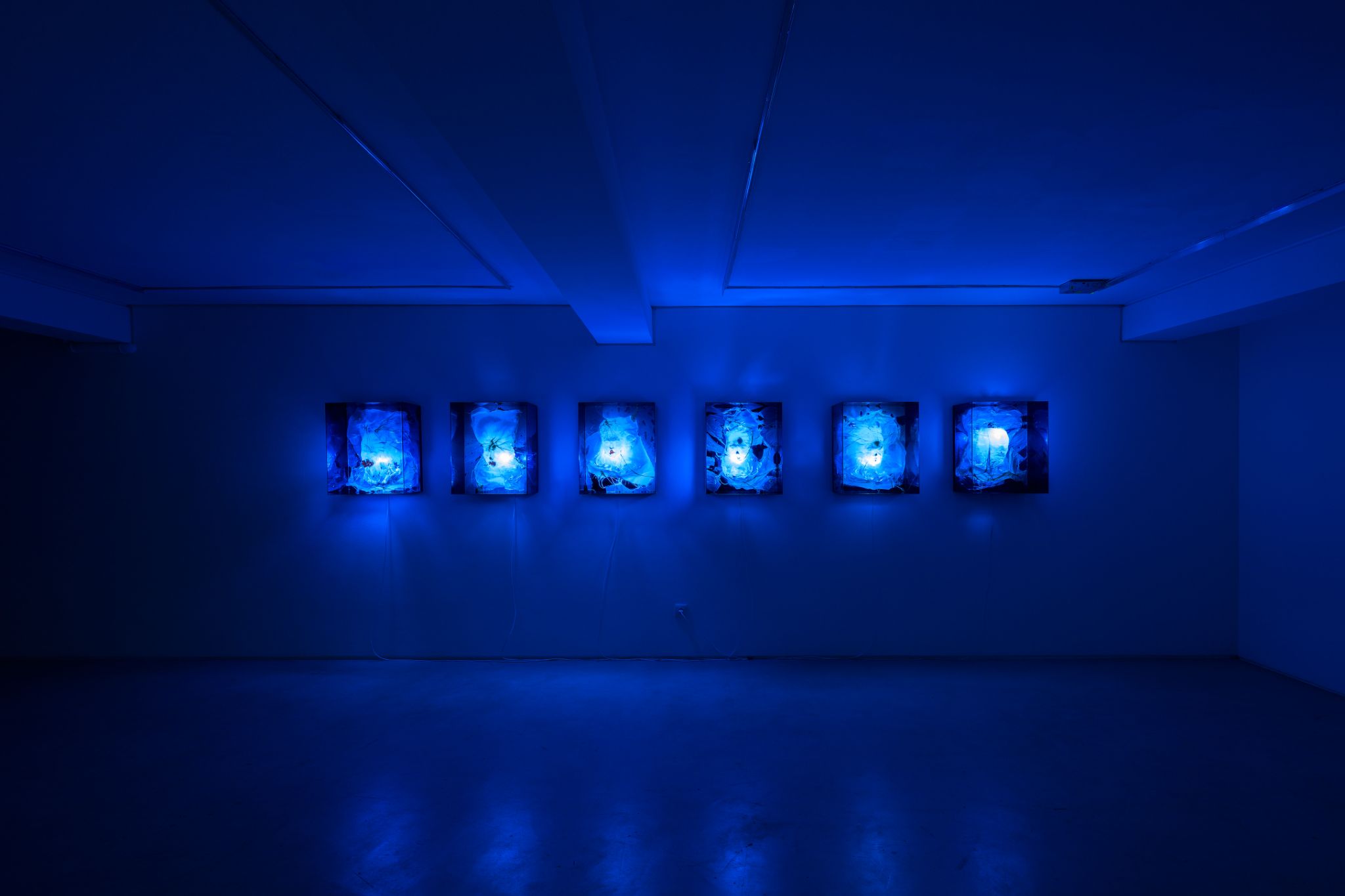 Galeria foco nadia duvall mermaids of a restless sea23