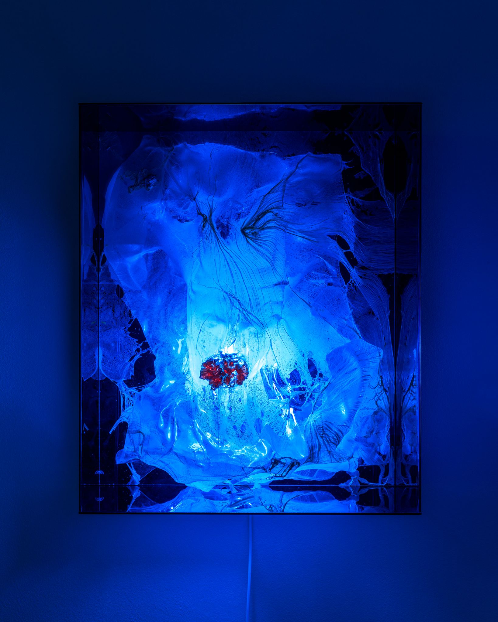 Galeria foco nadia duvall mermaids of a restless sea24