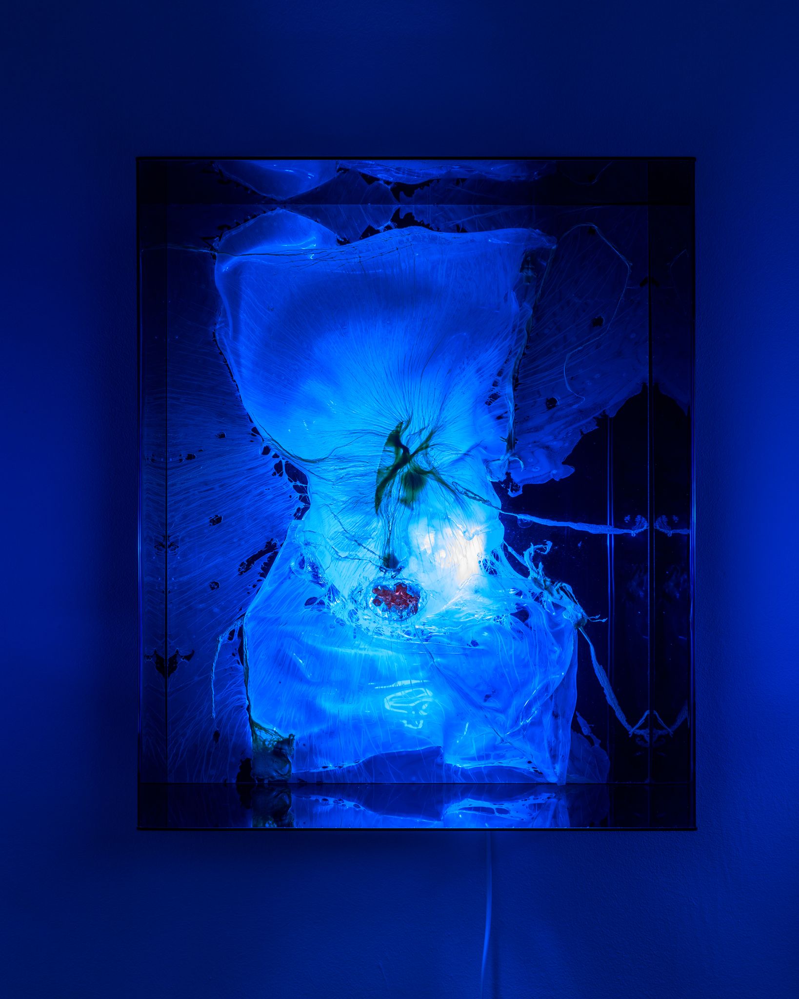 Galeria foco nadia duvall mermaids of a restless sea25