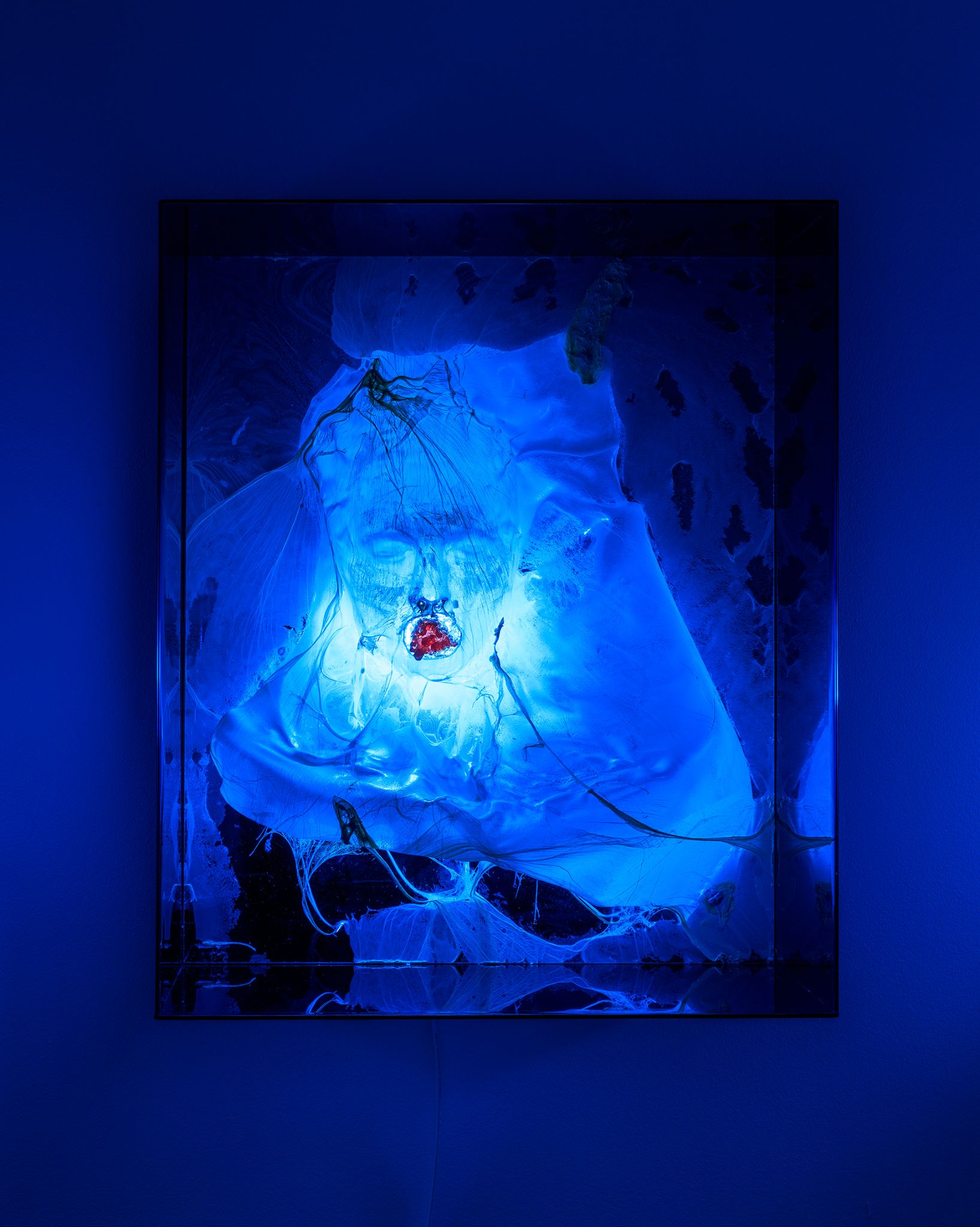 Galeria foco nadia duvall mermaids of a restless sea26