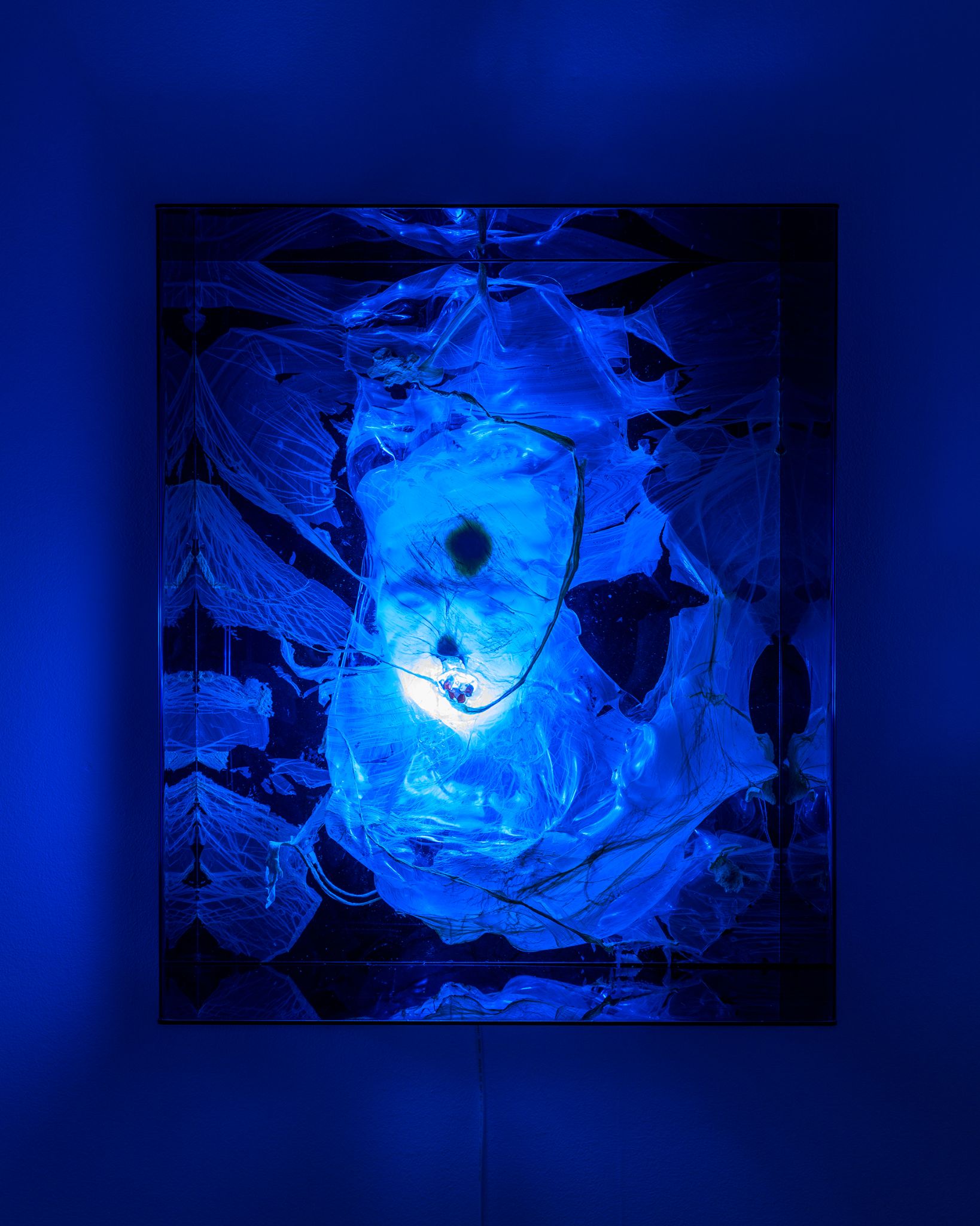 Galeria foco nadia duvall mermaids of a restless sea27
