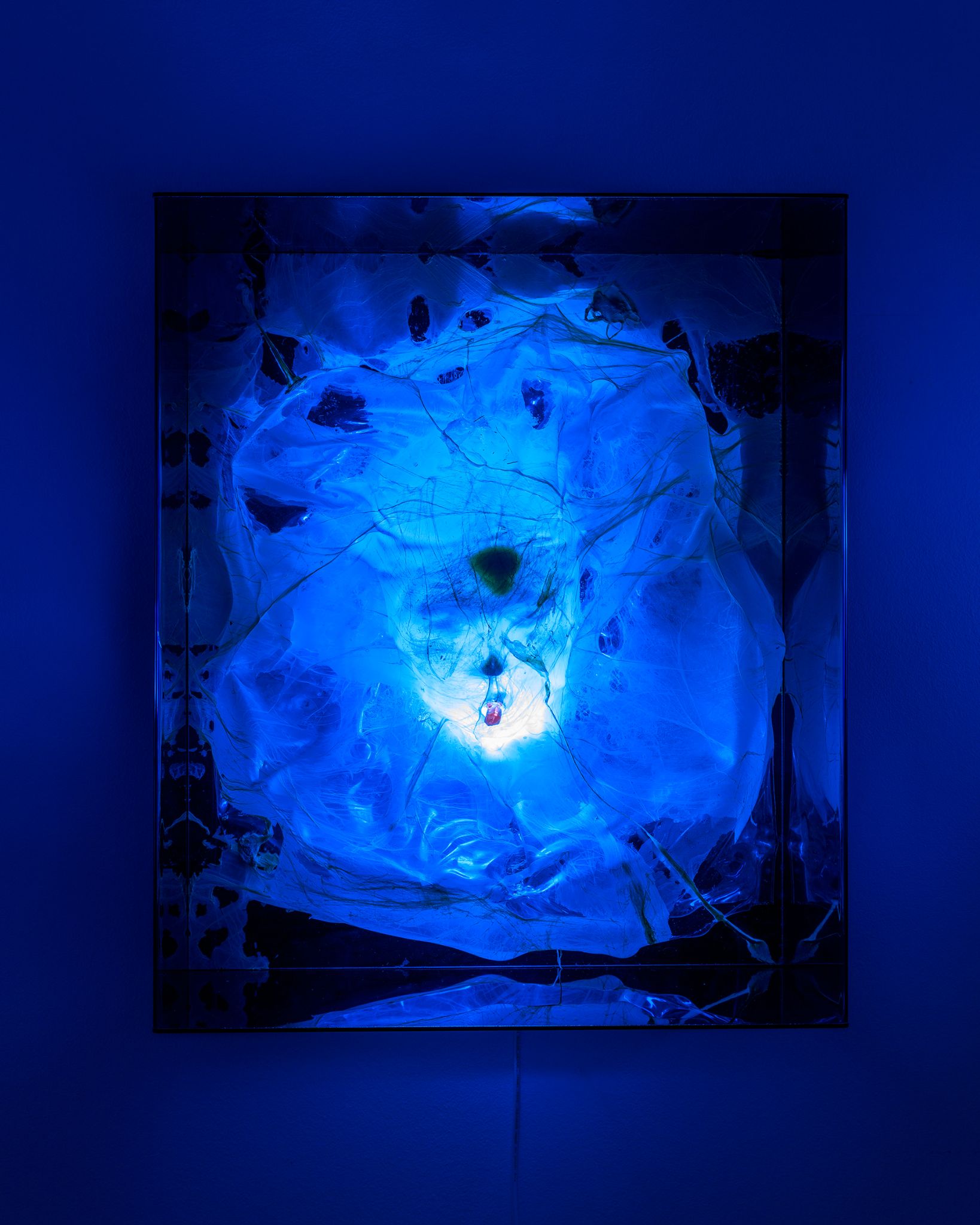 Galeria foco nadia duvall mermaids of a restless sea28