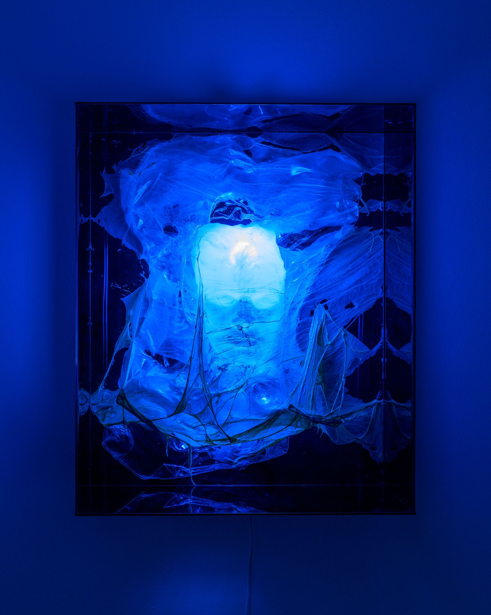 Galeria foco nadia duvall mermaids of a restless sea29