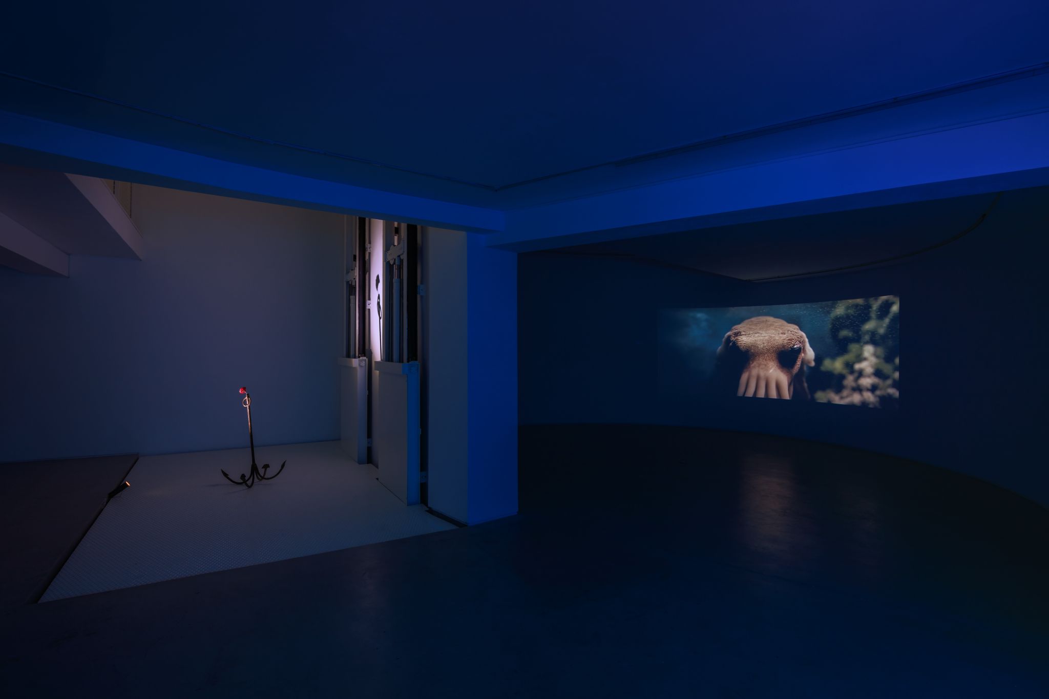 Galeria foco nadia duvall mermaids of a restless sea40