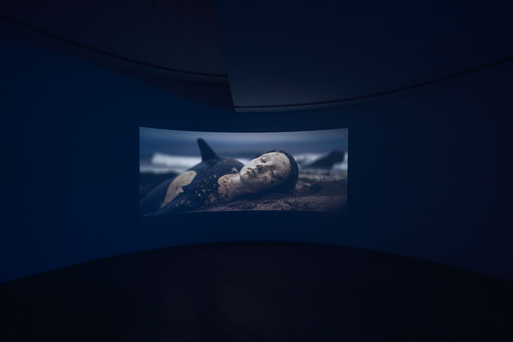 Galeria foco nadia duvall mermaids of a restless sea43