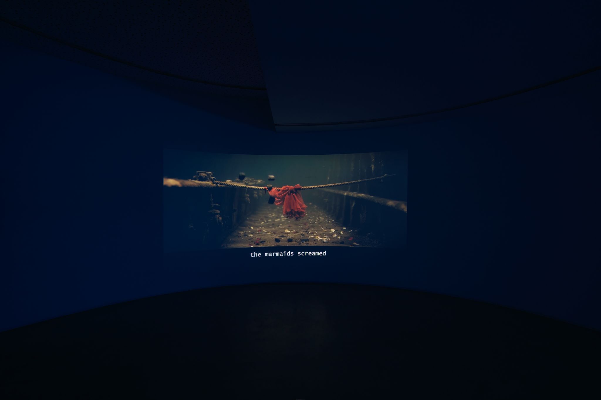 Galeria foco nadia duvall mermaids of a restless sea45