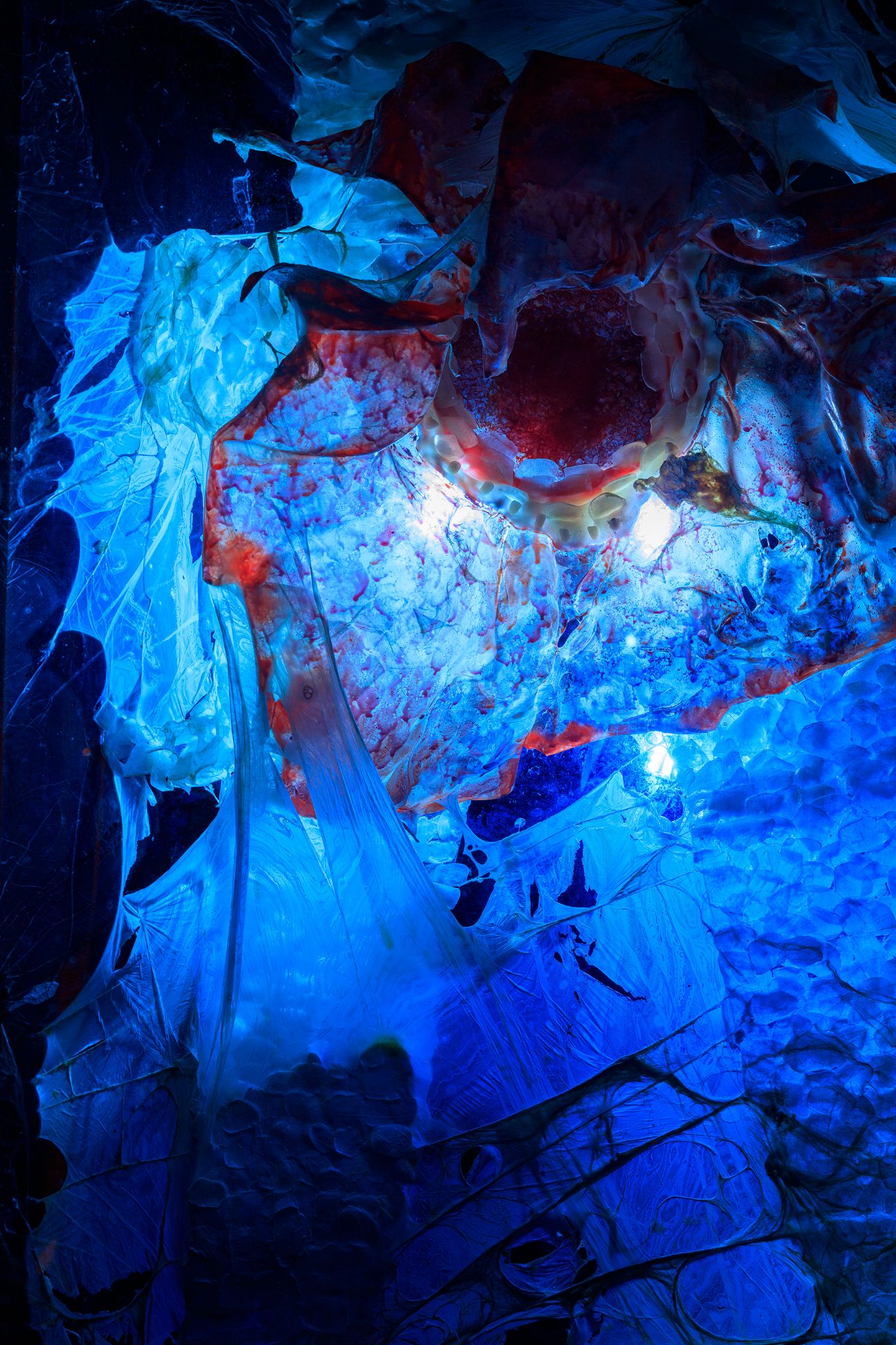 Galeria foco nadia duvall mermmaids of a resltess sea111